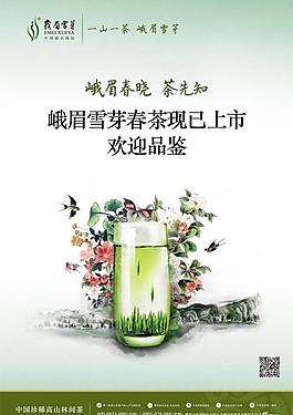 春茶上市主畫面圖片