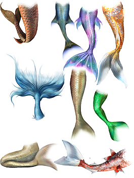 美人魚尾巴PSD源文件素材