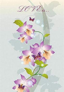 蘭花圖片