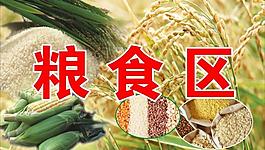 糧食區圖片