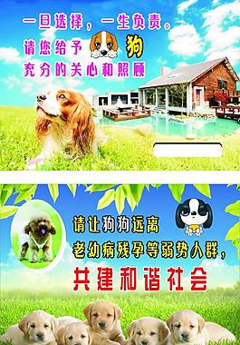 文明養狗圖片