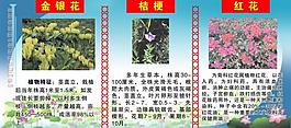 大藥房圖片