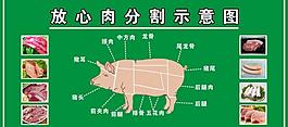 豬肉分割圖片