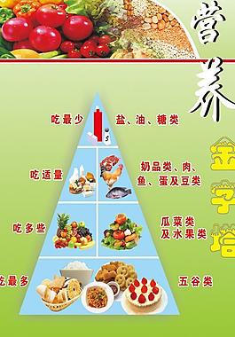 营养金字塔图片