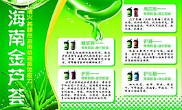 金蘆薈圖片