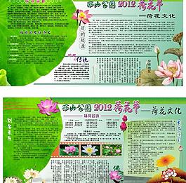 荷花节图片