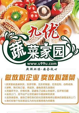 蔬菜x展架图片