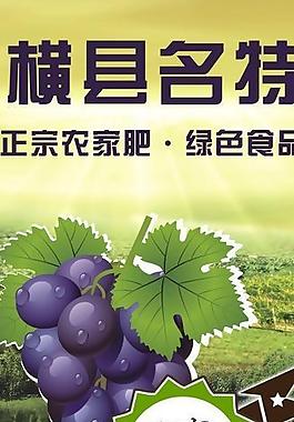 葡萄設(shè)計圖片