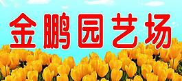 金鵬園藝場圖片