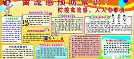 禽流感預防常識圖片
