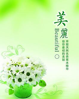 美丽动感图片