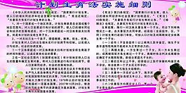 計劃生育法實施細則圖片