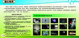 蕭山三中宣傳欄圖片