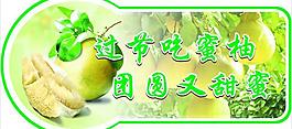 柚子圖片