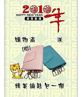 淡雅 老虎 福纹 钱包 新年图片