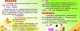 肥胖癥的危害圖片
