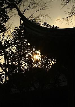 夕阳剪影图片