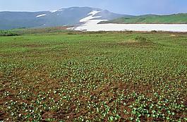 山水剪影圖片
