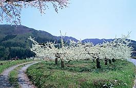 山水剪影圖片