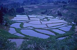 梯田剪影图片