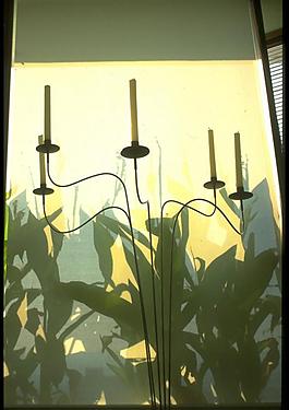 窗上的剪影圖片