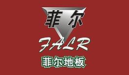 菲爾形象墻圖片