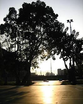 夕陽剪影图片