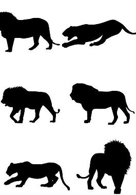 獅子圖片
