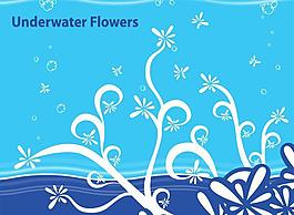 水下花圖片