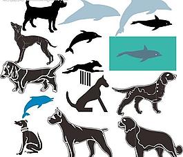 動物世界圖片