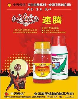 紅色百草枯草圖片