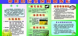 保险 宣传栏图片