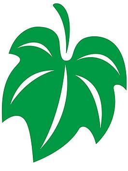 抽象樹葉圖片