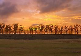 夕陽美景圖片