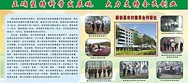新安縣農村信用合作聯社圖片