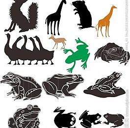 動物世界圖片