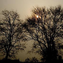 夕陽圖片