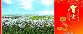 2013蛇年賀卡圖片