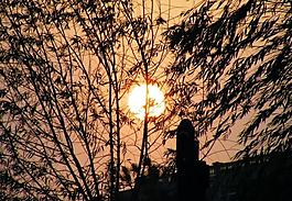 夕陽圖片