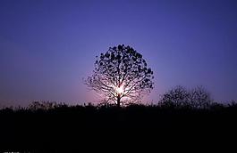 夕陽(yáng)圖片