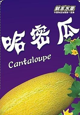 哈密瓜海报设计图片