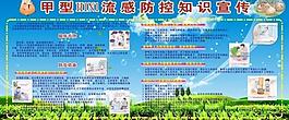 甲型h1n1流感圖片