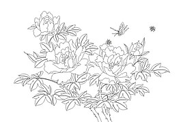 牡丹花