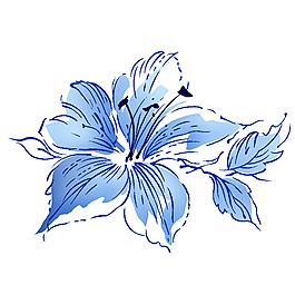 手绘小兰花