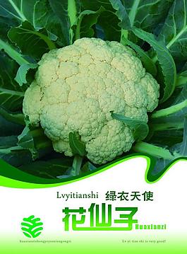 菜花包装图图片