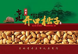 開口松子圖片