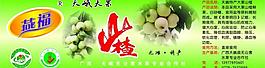 大果山楂瓶貼圖片
