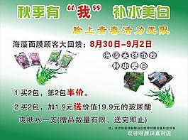 海藻圖片