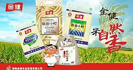 金建大米圖片