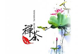 禪茶一味普洱茶圖片
